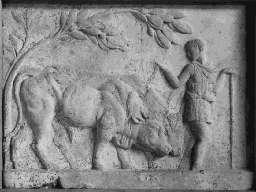 Na fotografiji: Rimski nizki relief s pastirjem in parom volov iz 1. stol. po Kr. Otok Tazos (Grčija). Hrani: The Walters Art Museum. Spletni vir: https://art.thewalters.org/detail/932/relief-of-a-herdsman-and-oxen/?fbclid=IwAR0NcDperDdUzsg2NzcjBYj1TVVEzORE4Kr5v3mGtOdXG9rUKTYlyBGk7zM  